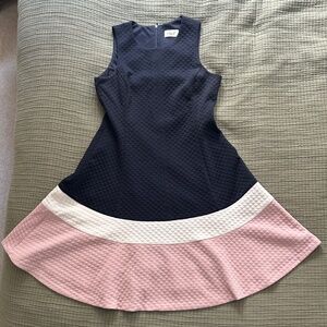 Eliza J Color Block A-Line Dress
